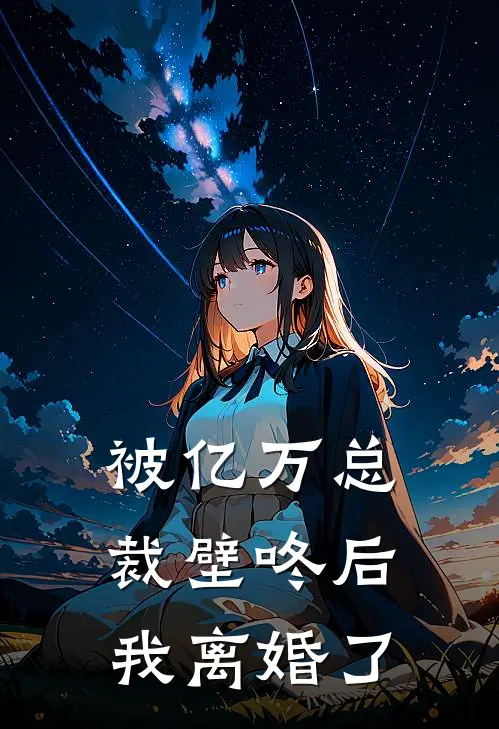 被亿万总裁壁咚后，我离婚了